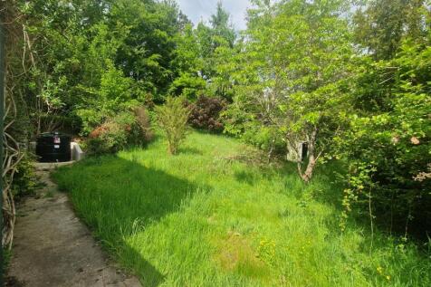 garden2