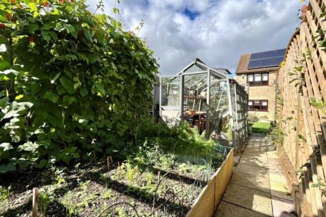 Vegetable Garden