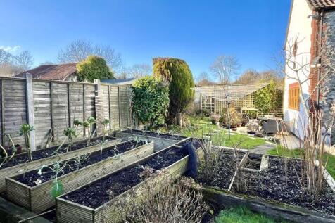 Vegetable Garden