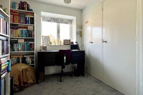 Study Area