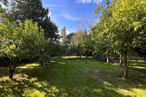 Orchard
