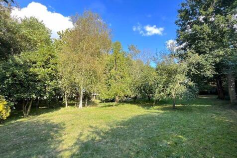 Woodland