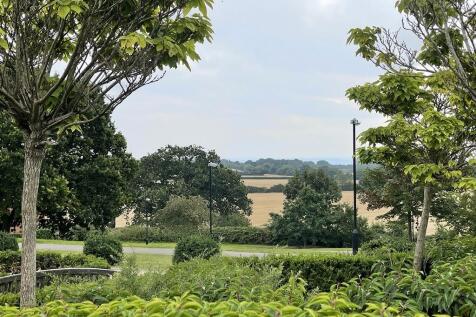 IMG_1865 (Copy)