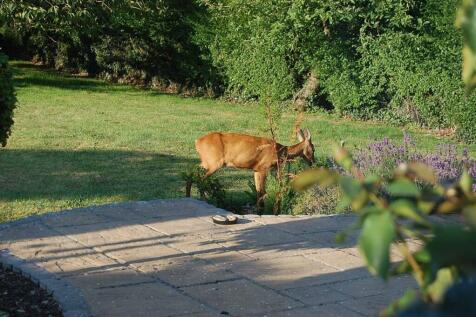 IMG_7902.jpeg