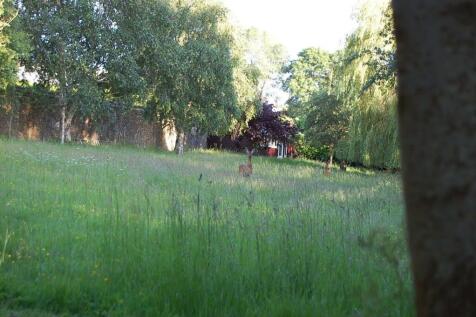 IMG_7903.jpeg