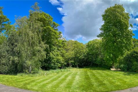 Lawn