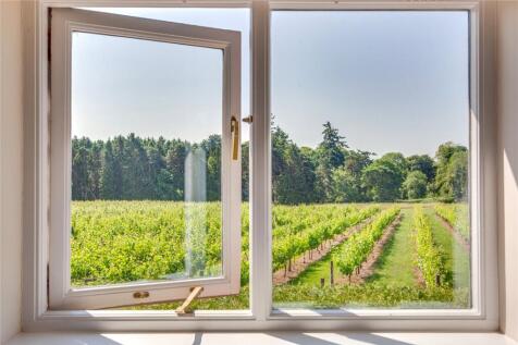 View Over Vineyard