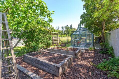 Vegetable Patch