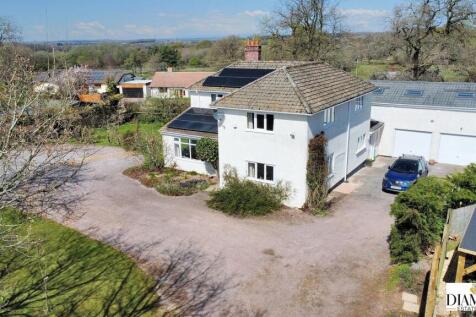 dji_fly_20250409_131732_895_1744201273969_photo_optimized.jpg