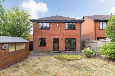 Property Image 14