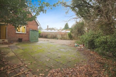 BACK GARDEN 2.JPG