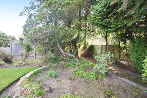 Garden 2.JPG