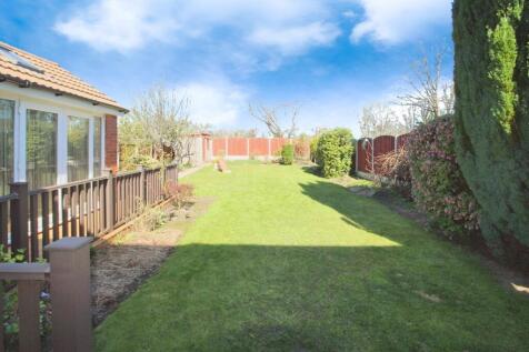 Back garden 2.JPG