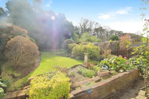 Garden 3 (2).JPG