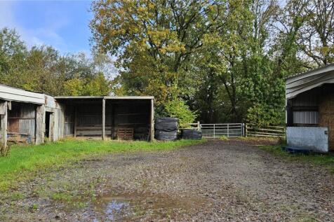 Lot 3