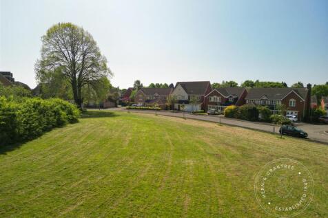 Bassetts-Field-12.jpg