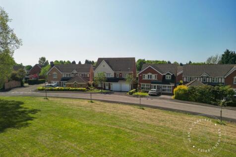 Bassetts-Field-13.jpg