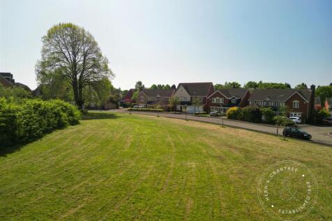 Bassetts-Field-12.jpg
