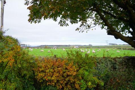 DSC00936.JPG