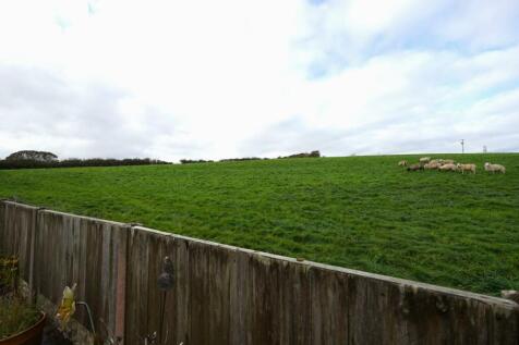 DSC02963.JPG
