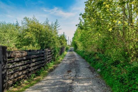 DSCF9827-HDR-Edit.jpg