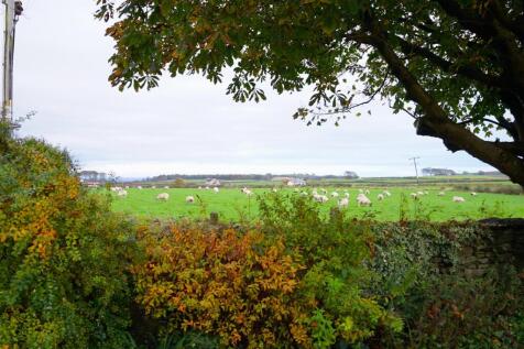 DSC00936.JPG