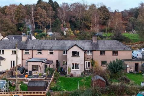 3 Brow Side (1 of 3).jpg