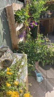 thumbnail_image1 (1).jpg