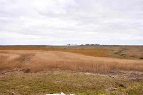 DSC_0203.JPG