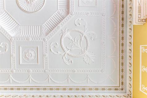 Ornate Ceiling