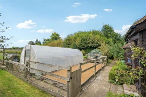 Vegetable Plot