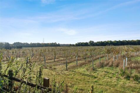 Farmland View