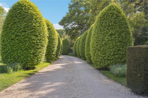 Dirveway