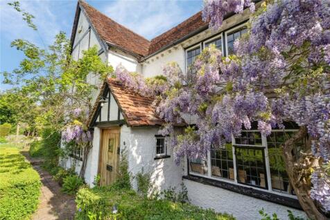 Wisteria