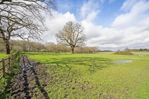 Field