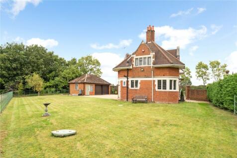 Back Garden