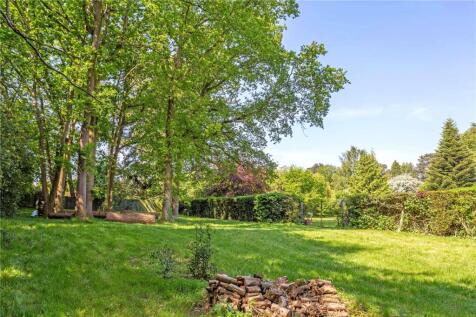 Wooded Area
