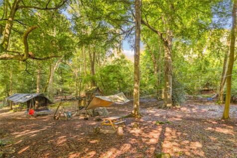 Woodland