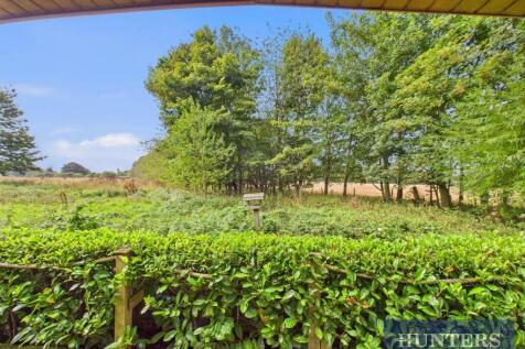 CAM03696G0-PR0250-STILL012.jpg