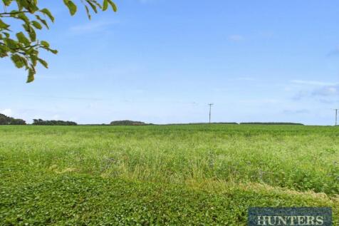 CAM05333G0-PR0154-STILL026.jpg