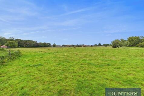 CAM05333G0-PR0237-STILL025.jpg