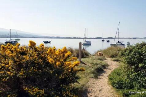 Estuary close to bungalow.jpg