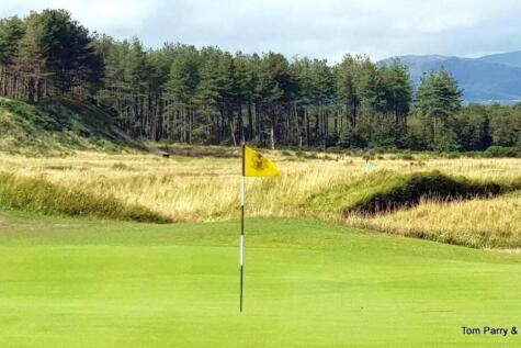 Golf course.jpg