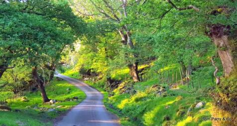 Scenic walk close to bungalow.jpg