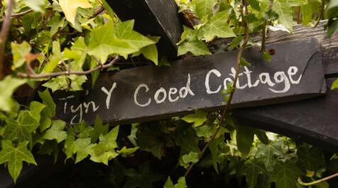 tyn_y_coed_034.JPG