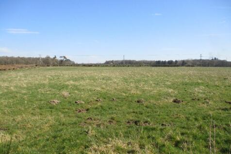 Field Views