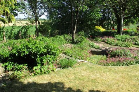 Property Image 43