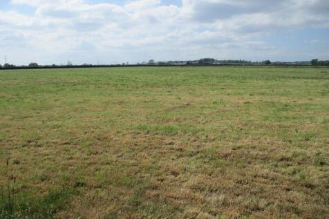 Field Views