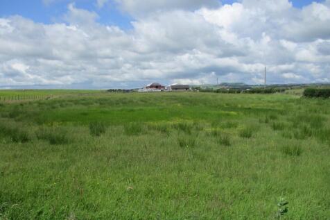 Rear Field Views