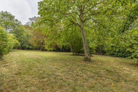 Property Image 43